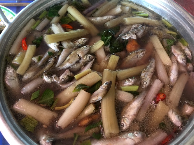 Cận cảnh săn, bắt, h&aacute;i, lượm  m&ugrave;a nước nổi - Ảnh 25.