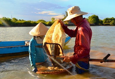 Nghề độc &ldquo;vợ chồng c&ugrave;ng ng&acirc;m m&igrave;nh lấy ng&agrave;y nửa triệu - Ảnh 9.