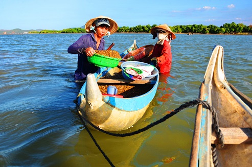 Nghề độc &ldquo;vợ chồng c&ugrave;ng ng&acirc;m m&igrave;nh lấy ng&agrave;y nửa triệu - Ảnh 10.