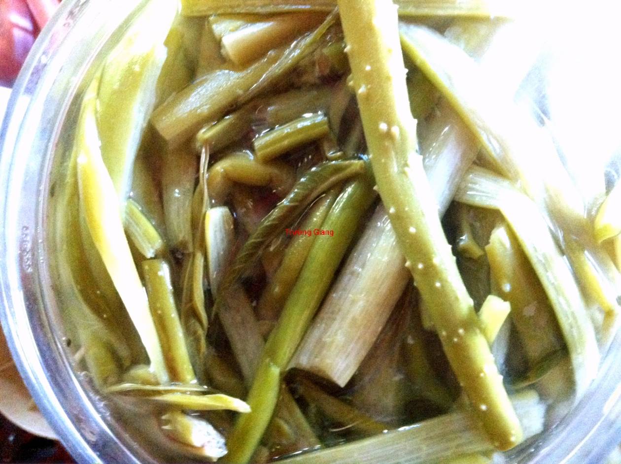 Rau móp: Đặc sản miền Đông Nam Bộ