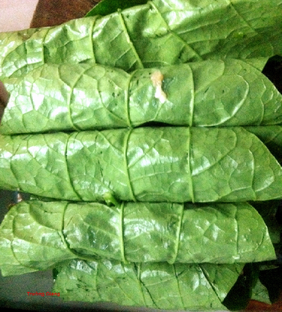 
 



Chả l&aacute; lốt
