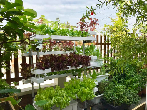 Ngỡ ng&agrave;ng khi l&ecirc;n s&acirc;n thượng nh&agrave; 1 nữ gi&aacute;m đốc - Ảnh 4.