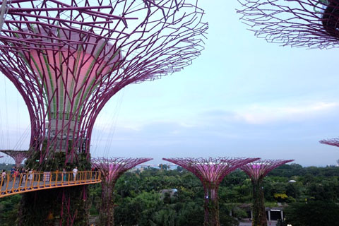 Gardens by the Bay - Thế giới diệu kỳ ở Singapore - Ảnh 4.