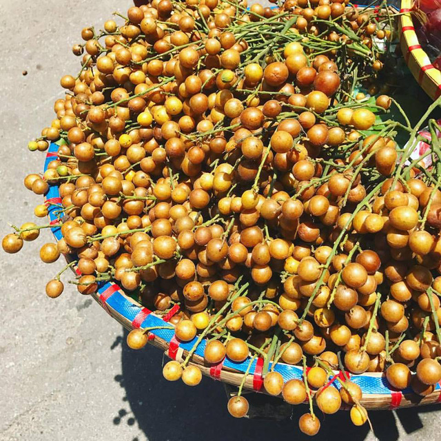 Quất hồng bì, bán chơi chơi cũng được cả tạ mỗi ngày