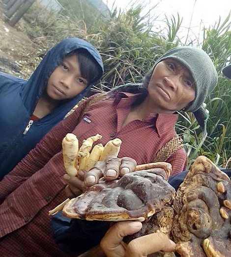 Sơn nh&acirc;n v&agrave; những cuộc săn lộc rừng - Ảnh 4.