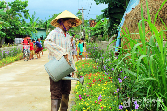 Đẹp ngỡ ng&agrave;ng con đường hoa ở miền qu&ecirc; Nghệ An - Ảnh 4.