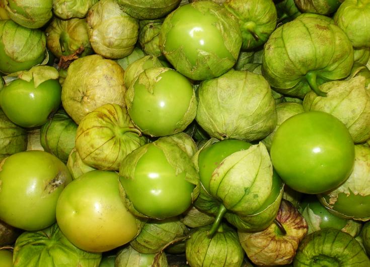 Tầm b&oacute;p: Ở Việt Nam l&agrave; quả dại, ở Nhật b&aacute;n 700.000 đồng/kg - Ảnh 4.