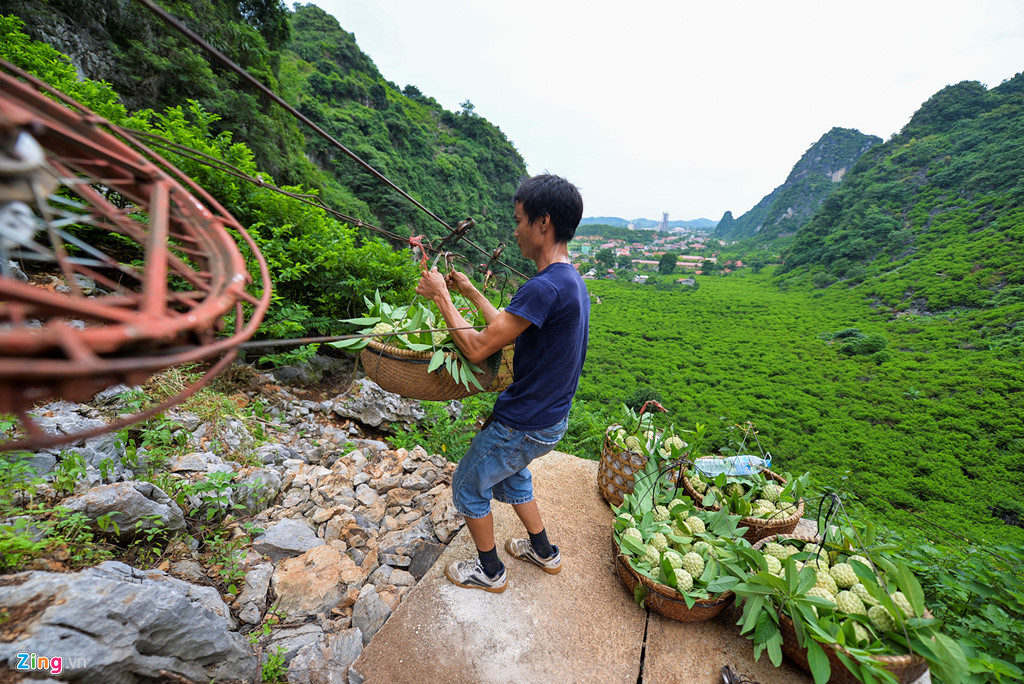 Nhọc nhằn trồng na tr&ecirc;n n&uacute;i đ&aacute; - Ảnh 4.