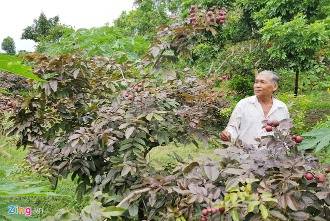 Nh&atilde;n t&iacute;m độc đ&aacute;o ở S&oacute;c Trăng - Ảnh 5.