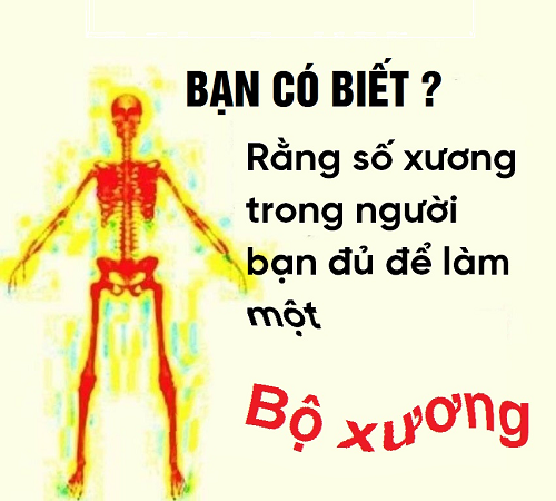 10 ảnh hài hot nhất Facebook trong ngày - Ảnh 4.