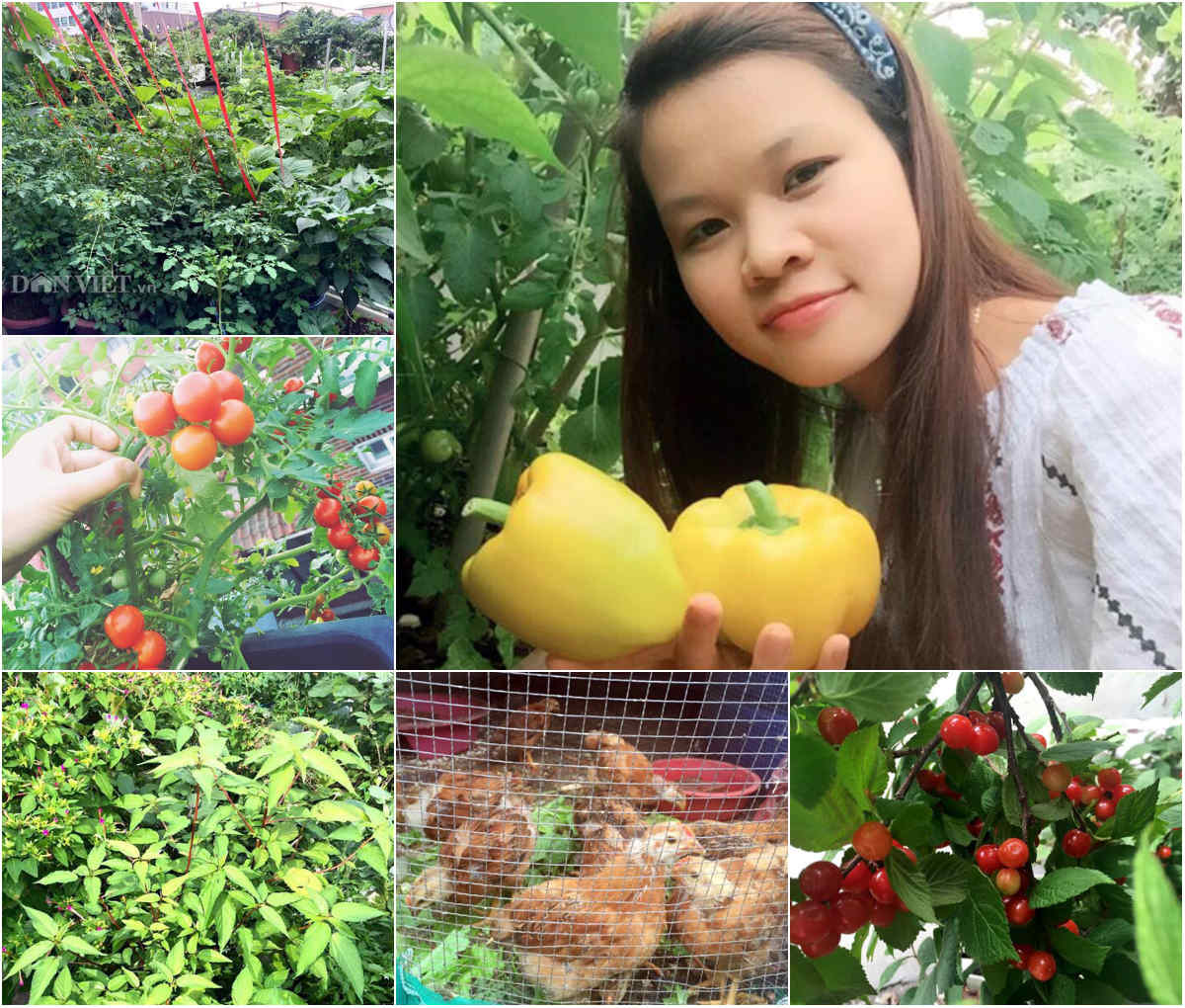 Chuyện thật như đ&ugrave;a về độc chi&ecirc;u l&agrave;m n&ocirc;ng - Ảnh 13.