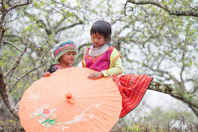 
 

Những em b&eacute; d&acirc;n tộc Hm&ocirc;ng với trang phục sặc sỡ, vui chơi giữa đất trời đang v&agrave;o xu&acirc;n. Ảnh: L&ecirc; Đ&igrave;nh Lu&acirc;n

 


 

Ảnh: Quỳnh Nga

 


 

Ảnh: Phạm Văn Đức

 


Nhiều gia đ&igrave;nh v&agrave; c&aacute;c bạn trẻ đam m&ecirc; nhiếp ảnh đ&atilde; l&ecirc;n lịch tr&igrave;nh ngắm lo&agrave;i hoa được mệnh danh l&agrave; n&agrave;ng thơ của n&uacute;i rừng. Tuy nhi&ecirc;n, bạn n&ecirc;n chuẩn bị quần &aacute;o ấm v&agrave; xem dự b&aacute;o thời tiết trước khi khởi h&agrave;nh. Nếu ở lại qua đ&ecirc;m cần mang nhiều &aacute;o ấm hơn, nhiệt độ c&oacute; thể xuống dưới 10 độ.

 


 

Ảnh: Nguyễn Thủy

 


 

C&aacute;c b&eacute; c&ograve;n được bố mẹ mượn, thu&ecirc; trang phục Hm&ocirc;ng để tạo d&aacute;ng chụp ảnh. Ảnh: Dương Hồng Ngọc

 


 

Hoa đ&agrave;o, hoa mận lu&ocirc;n l&agrave; thời điểm v&agrave;ng h&ograve; hẹn của những tay m&aacute;y c&oacute; t&acirc;m hồn l&atilde;ng mạn.

 


 

Ngo&agrave;i hoa mận th&igrave; nhiều nơi vẫn c&ograve;n hoa cải v&agrave;ng cải trắng nhưng c&oacute; thu v&eacute; v&agrave;o từ 10.000 đồng đến 20.000 đồng, l&aacute;c đ&aacute;c một số nơi c&oacute; hoa đ&agrave;o nở. Ảnh: Nguyễn Ho&agrave;i

 


 

Chữ S huyền thoại ở Mộc Ch&acirc;u, địa điểm check in nổi tiếng kh&ocirc;ng thể bỏ qua.

 


 

Bạn c&oacute; thể chọn dịch vụ nh&agrave; s&agrave;n hay homestay để nghỉ qua đ&ecirc;m khi đến Mộc Ch&acirc;u. Ngo&agrave;i ra Mộc Ch&acirc;u cũng c&oacute; kh&aacute; nhiều kh&aacute;ch sạn, nhưng cần đặt trước kẻo hết ph&ograve;ng.

 

 









