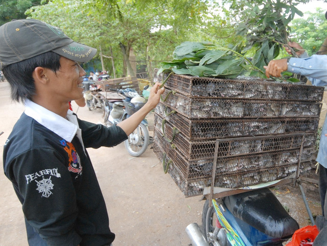 Nhiều hộ mua b&aacute;n chuột ở đ&acirc;y cho biết, tuỳ theo m&ugrave;a (chuột nhiều v&agrave; ngon nhất trong khoảng từ th&aacute;ng 3 - 10 &acirc;m lịch), 1kg chuột hơi c&oacute; gi&aacute; dao động từ 20.000 - 30.000 đồng. Sau khi được giết mổ, l&agrave;m sạch sẽ được b&aacute;n với gi&aacute; 35.000 - 60.000 đồng/kg.