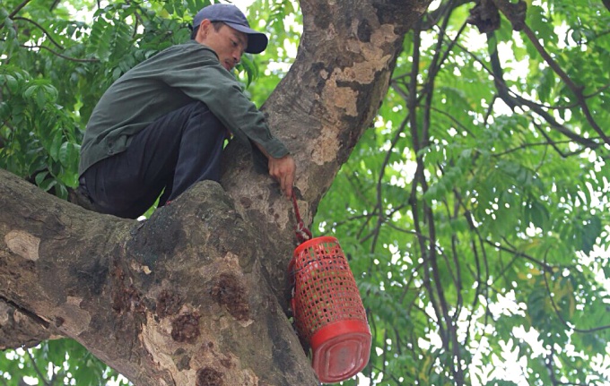 Nghề độc giữa H&agrave; th&agrave;nh  - Ảnh 5.