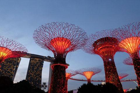 Gardens by the Bay - Thế giới diệu kỳ ở Singapore
