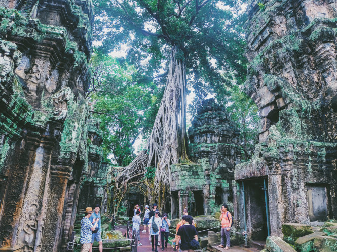 Ta Prohm - ng&ocirc;i đền của những rễ c&acirc;y kỳ dị  - Ảnh 5.