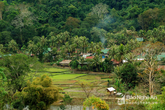 Ngỡ ng&agrave;ng miền T&acirc;y Nghệ An - Ảnh 5.