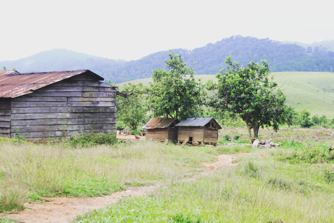 Đưa nhau đi trốn ở rừng Tà Năng- Phan Dũng - Ảnh 5.