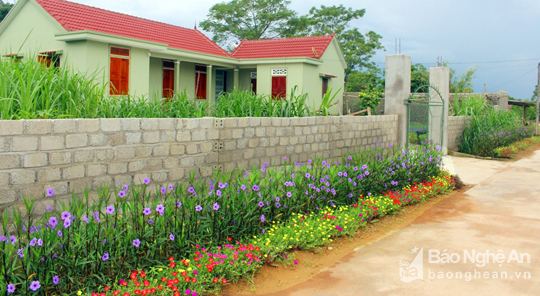 Đẹp ngỡ ng&agrave;ng con đường hoa ở miền qu&ecirc; Nghệ An - Ảnh 5.