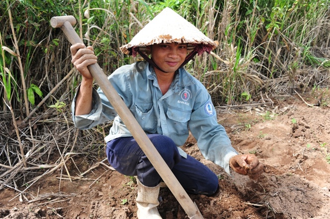 Săn dế cơm, kiếm 300 ng&agrave;n đồng/ng&agrave;y như chơi - Ảnh 5.