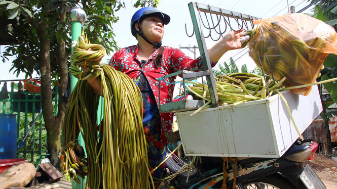 Chộn rộn miền T&acirc;y m&ugrave;a nước đang nổi  - Ảnh 5.
