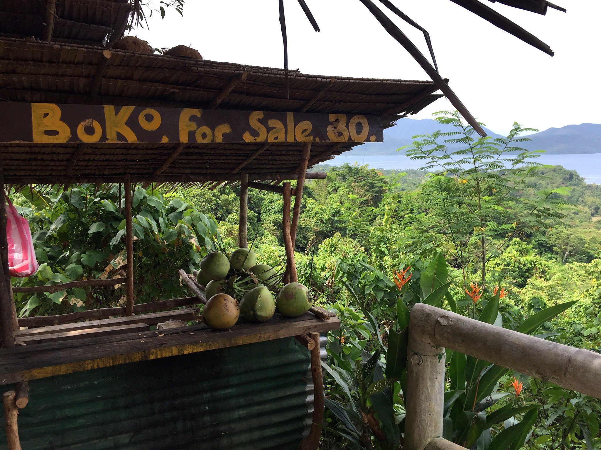 Palawan: H&ograve;n đảo đẹp nhất thế giới - Ảnh 5.