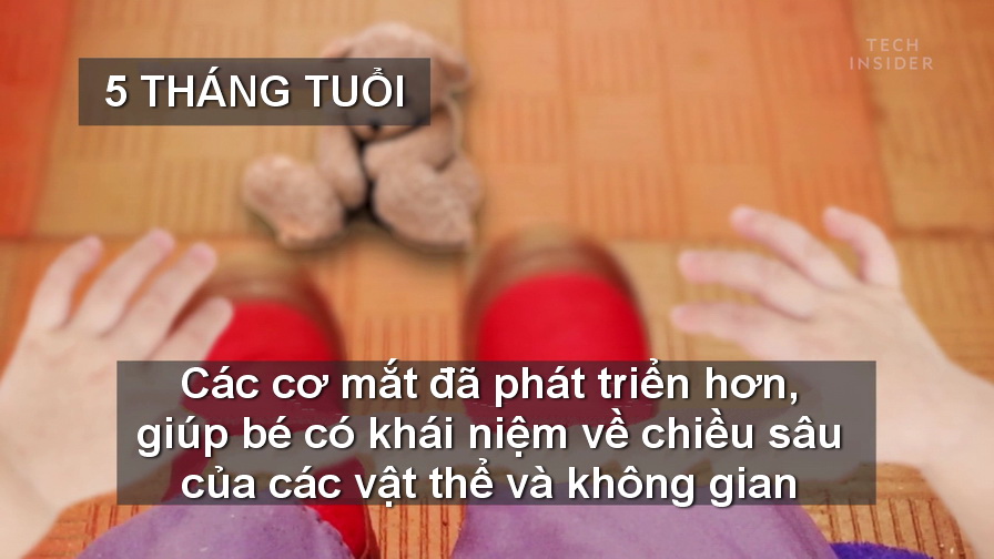 B&eacute; y&ecirc;u ph&aacute;t triển thị lực thế n&agrave;o? - Ảnh 5.