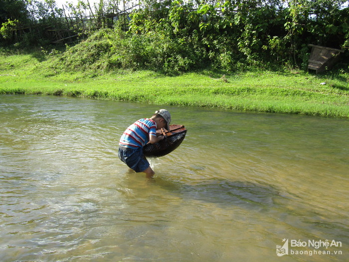 Chi&ecirc;u độc săn c&aacute; suối của trẻ em v&ugrave;ng cao Nghệ An - Ảnh 5.