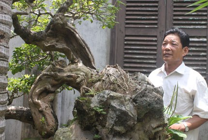 &ldquo;Vi h&agrave;nh&rdquo; l&agrave;ng c&acirc;y cảnh thế khủng, cực chất - Ảnh 5.