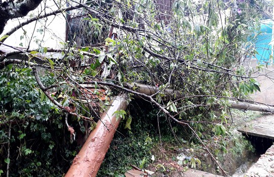 Lâm Đồng: 2 người chết, nhiều nơi bị cô lập do bão - Ảnh 5.