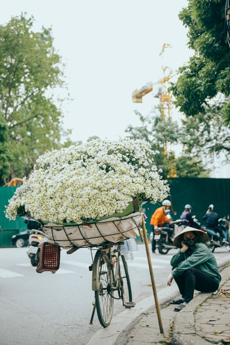 C&oacute; một m&ugrave;a c&uacute;c họa mi đẹp ngỡ ng&agrave;ng theo về tr&ecirc;n phố - Ảnh 5.