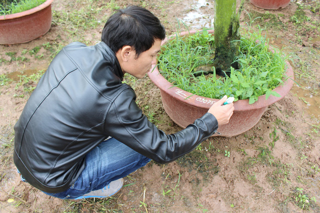 Khách đánh dấu cây mình đặt mua bằng chữ ký và số điện thoại.