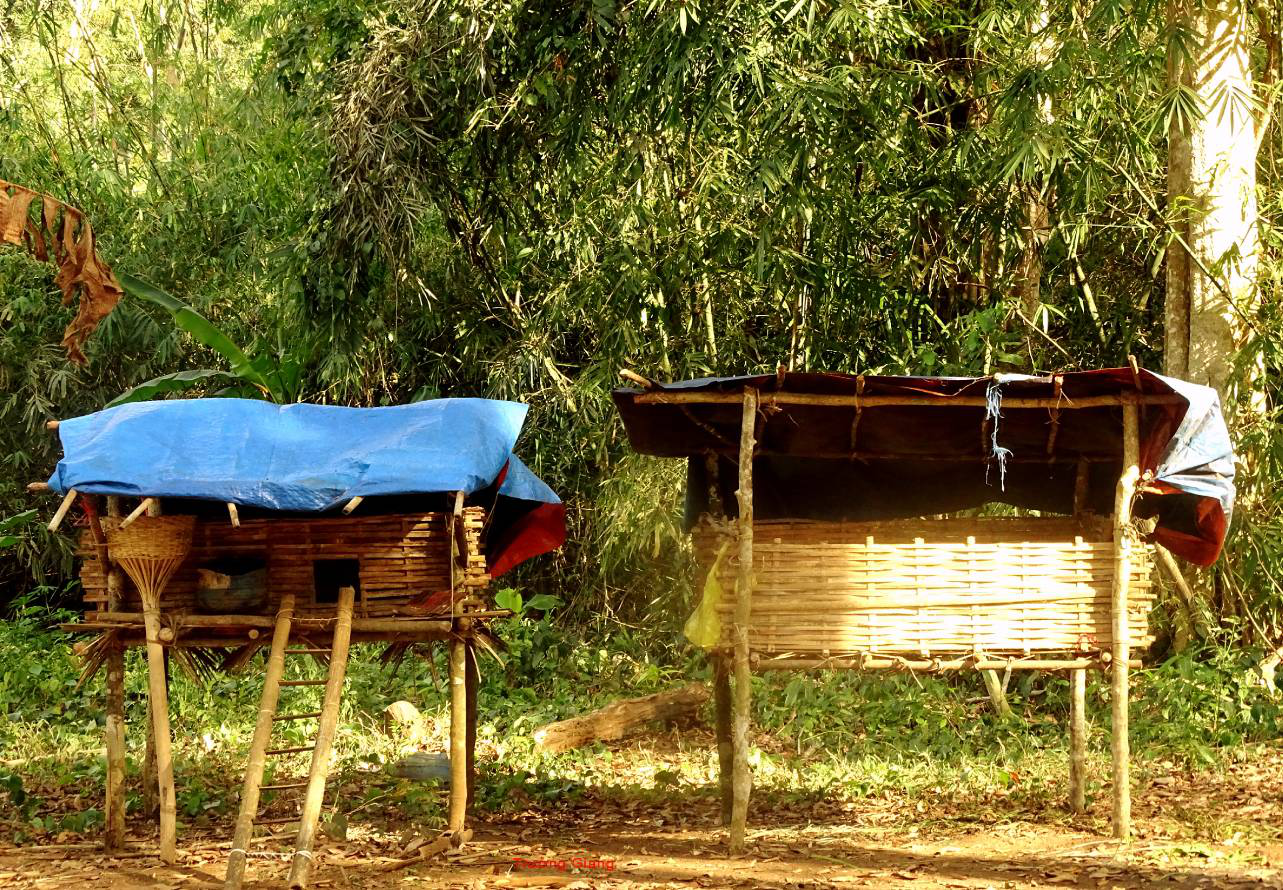 Chuồng g&agrave; mộc mạc, đơn sơ