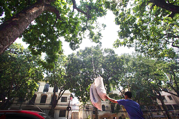 Nghề độc giữa H&agrave; th&agrave;nh  - Ảnh 6.