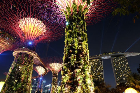 Gardens by the Bay - Thế giới diệu kỳ ở Singapore - Ảnh 6.