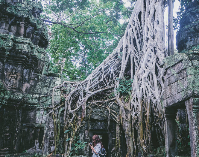 Ta Prohm - ng&ocirc;i đền của những rễ c&acirc;y kỳ dị  - Ảnh 6.
