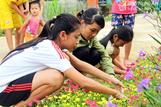Đẹp ngỡ ng&agrave;ng con đường hoa ở miền qu&ecirc; Nghệ An - Ảnh 6.