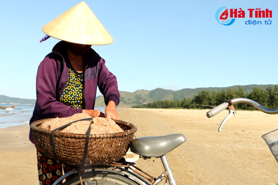 Ngư dân Kỳ Anh liên tiếp trúng đậm ruốc biển - Ảnh 7.