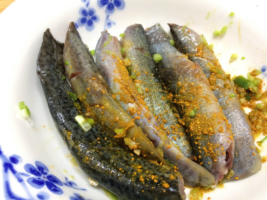 Săn cá chạch - đặc sản “cứu tinh” của quý ông - Ảnh 2.