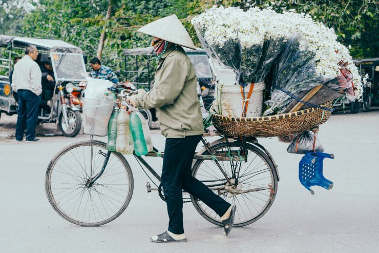 C&oacute; một m&ugrave;a c&uacute;c họa mi đẹp ngỡ ng&agrave;ng theo về tr&ecirc;n phố - Ảnh 6.