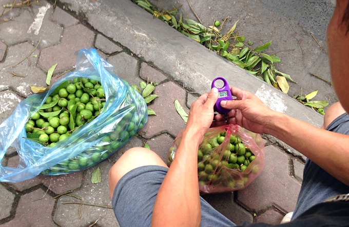 Nghề độc giữa H&agrave; th&agrave;nh  - Ảnh 7.