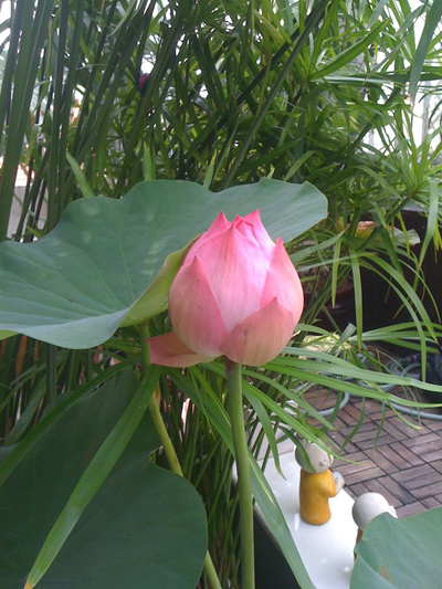 Ngỡ ng&agrave;ng khi l&ecirc;n s&acirc;n thượng nh&agrave; 1 nữ gi&aacute;m đốc - Ảnh 8.