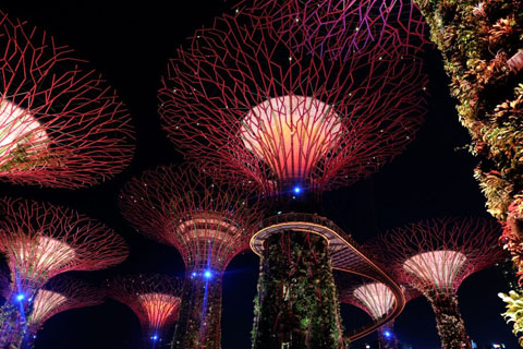 Gardens by the Bay - Thế giới diệu kỳ ở Singapore - Ảnh 7.
