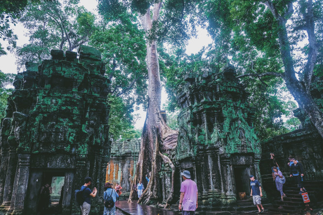 Ta Prohm - ng&ocirc;i đền của những rễ c&acirc;y kỳ dị  - Ảnh 7.