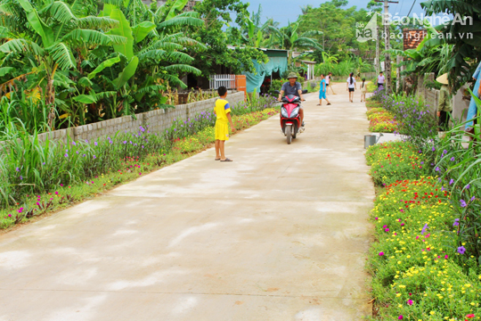 Đẹp ngỡ ng&agrave;ng con đường hoa ở miền qu&ecirc; Nghệ An - Ảnh 7.