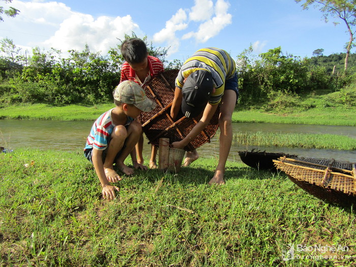 Chi&ecirc;u độc săn c&aacute; suối của trẻ em v&ugrave;ng cao Nghệ An - Ảnh 7.