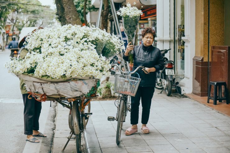 C&oacute; một m&ugrave;a c&uacute;c họa mi đẹp ngỡ ng&agrave;ng theo về tr&ecirc;n phố - Ảnh 7.