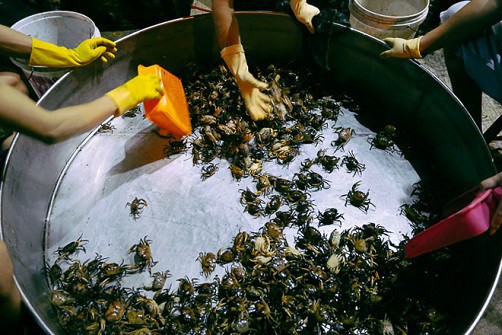 Chợ “độc” ở Sài Gòn, gần nửa thế kỷ chỉ bán một mặt hàng lúc nửa đêm - Ảnh 7.