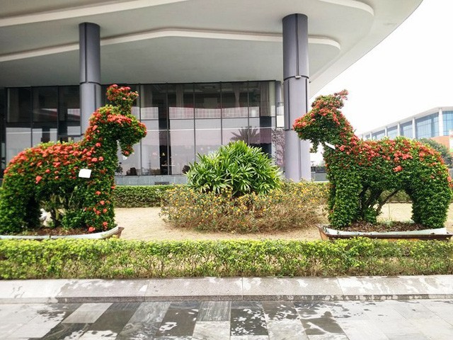 Những linh vật &ldquo;khủng&rdquo; tạo h&igrave;nh từ h&agrave;ng trăm c&acirc;y hoa mẫu đơn - Ảnh 7.