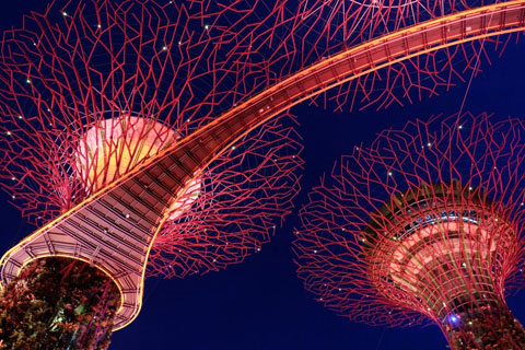 Gardens by the Bay - Thế giới diệu kỳ ở Singapore - Ảnh 8.